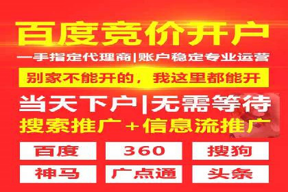 大型企业SEM外包实战案例